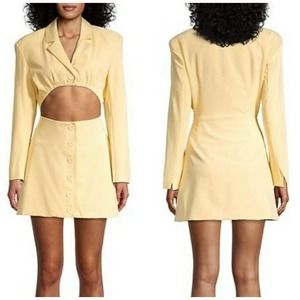 NWT Danielle Bernstein We Wore What Cut Out Blazer Dress Medium